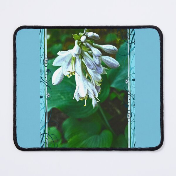 Item preview, CC Collection, Hostas designed and sold by RivehArt.