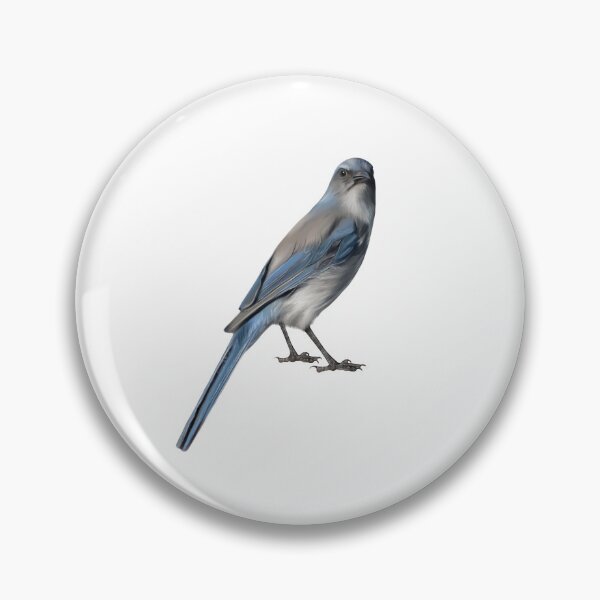 Item preview, Woodhouse's Scrub Jay designed and sold by Wondersofwhimsy.