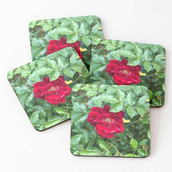 Item preview, China Rose designed and sold by Sarah Meytin.