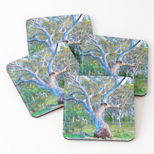 Item preview, Old Eucalyptus Tree designed and sold by cbrpix.