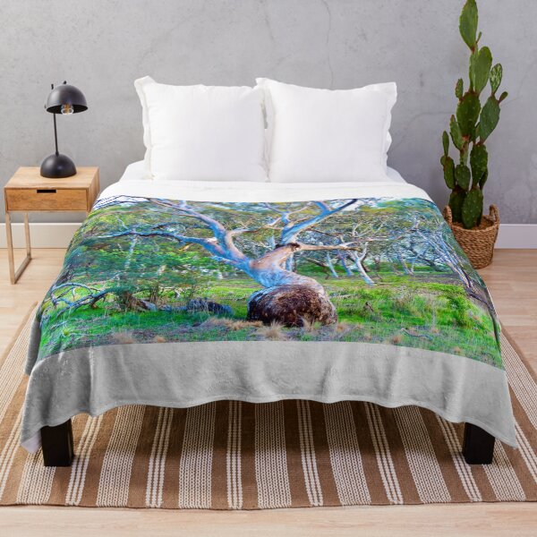 Item preview, Old Eucalyptus Tree designed and sold by cbrpix.