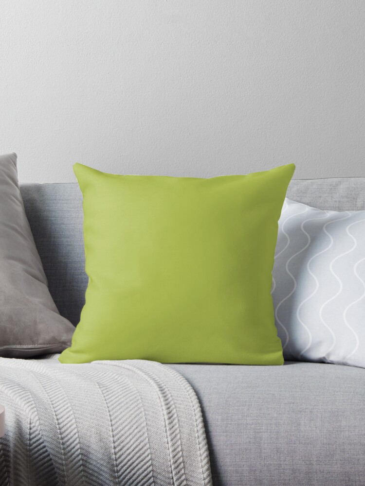 https://ih1.redbubble.net/image.541183130.1946/throwpillow,small,750x1000-bg,f8f8f8.jpg