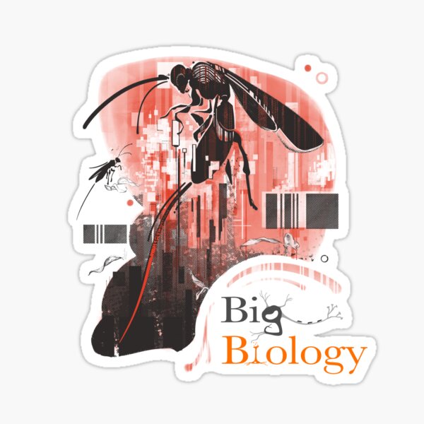 Item preview, Tempest in a barcode: how rapidly can we (and should we) identify new species? designed and sold by BigBiology.