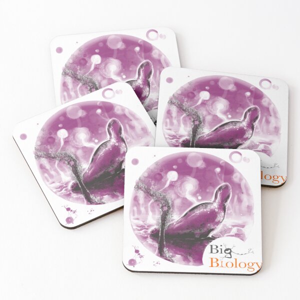 Item preview, The path to multicellularity designed and sold by BigBiology.