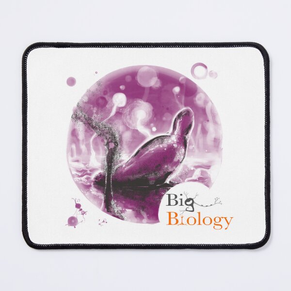 Item preview, The path to multicellularity designed and sold by BigBiology.