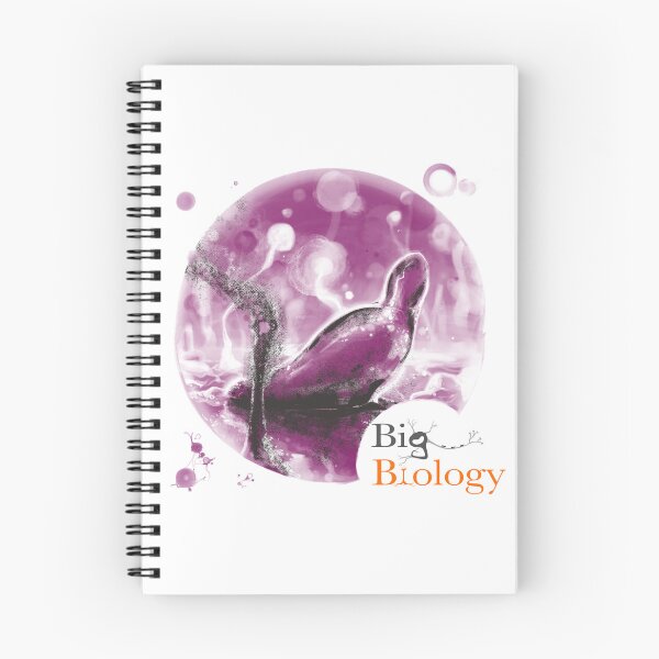 Item preview, The path to multicellularity designed and sold by BigBiology.