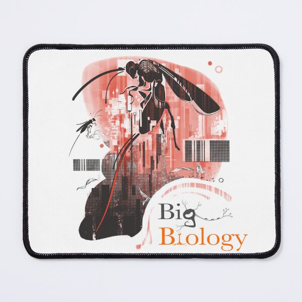 Item preview, Tempest in a barcode: how rapidly can we (and should we) identify new species? designed and sold by BigBiology.