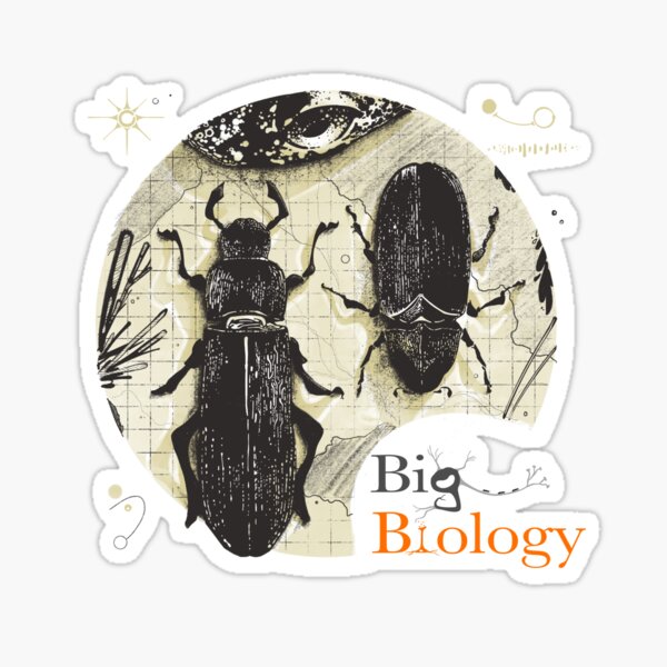 Item preview, Evolution of the Invaders designed and sold by BigBiology.