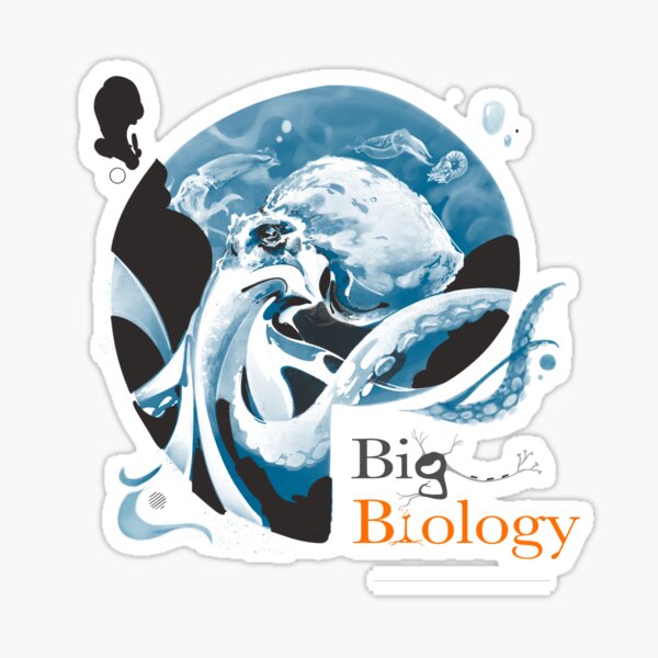 Item preview, Cephalopods: aliens among us designed and sold by BigBiology.