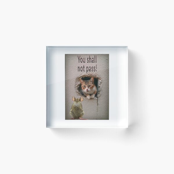 Item preview, You shall not pass Cat and Mouse designed and sold by Visual Arts Sławomir Grzanek.