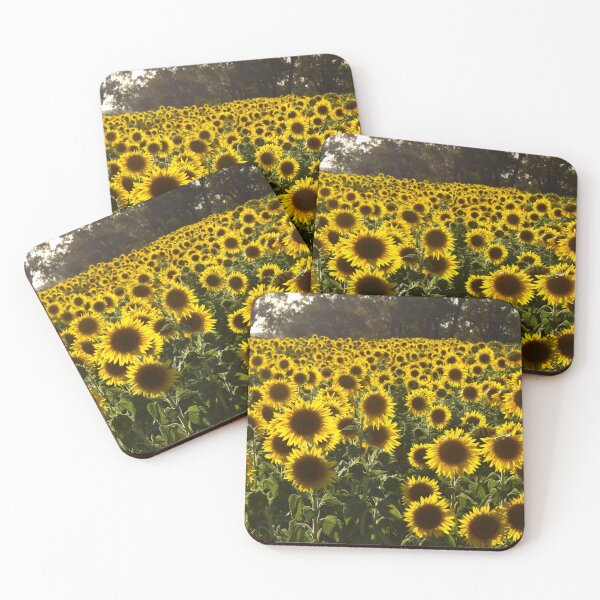 Item preview, Field of Sunflowers at Taylor Homestead in Vasse Western Australia designed and sold by Rainbow Farm Photography.