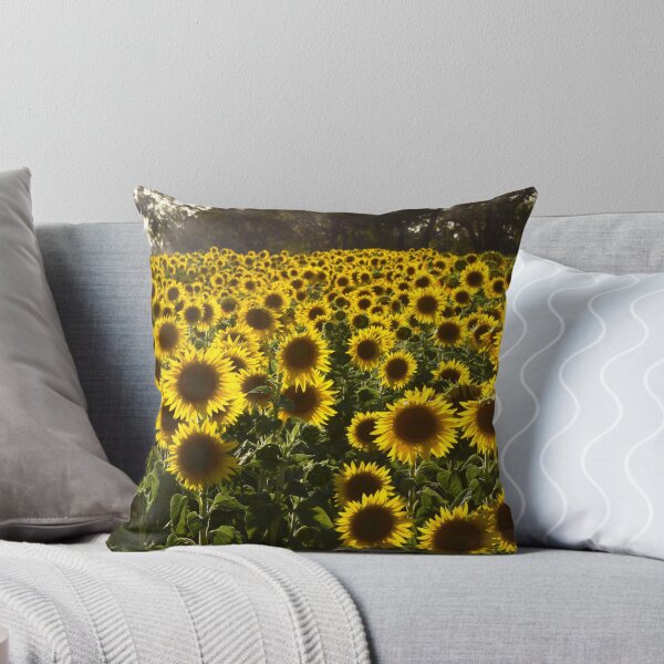 Item preview, Field of Sunflowers at Taylor Homestead in Vasse Western Australia designed and sold by Rainbow Farm Photography.