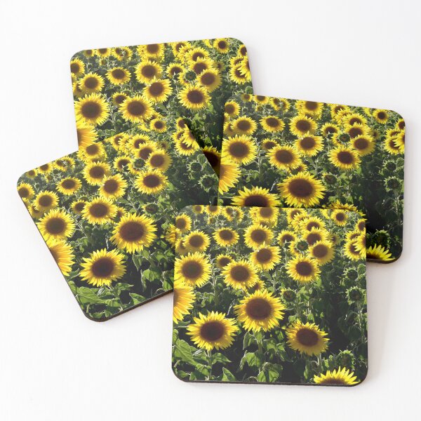 Item preview, Sunflowers on Taylor Homestead in Vasse Western Australia designed and sold by Rainbow Farm Photography.