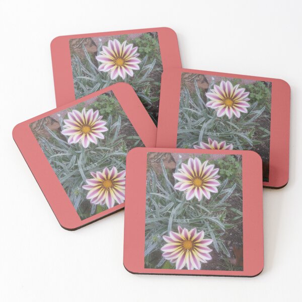 Item preview, Painted Daisies designed and sold by Stardragon135.