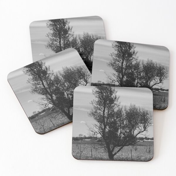 Item preview, Lonetree designed and sold by Arterials.
