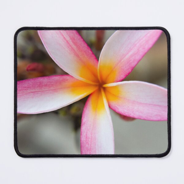 Item preview, Pink and White Plumeria Mini Bloom designed and sold by Bonnie  Follett.