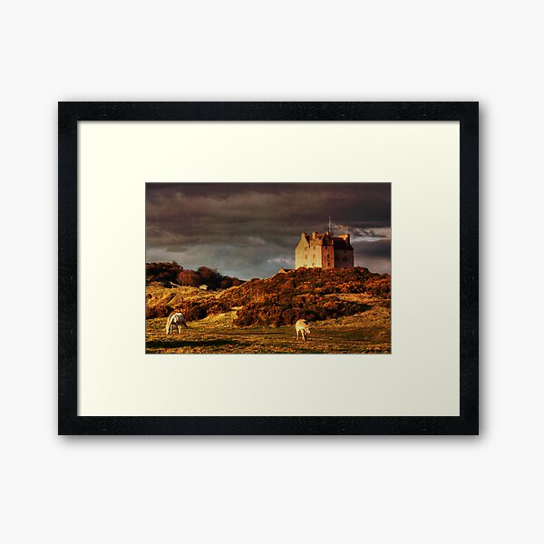 Grazing Unicorns Framed Art Print
