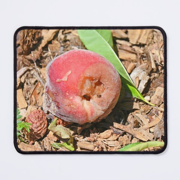 Item preview, Rotten peach on the ground designed and sold by Doug Cliff.