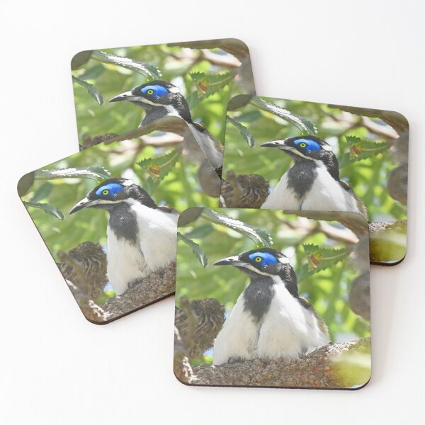 Item preview, Blue faced honey eater designed and sold by Doug Cliff.