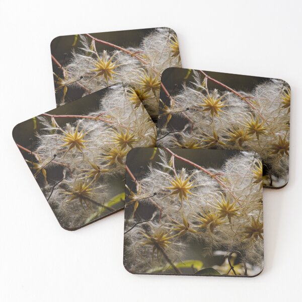 Item preview, Mysterious flowers in Watsons Creek designed and sold by Mrtweety.
