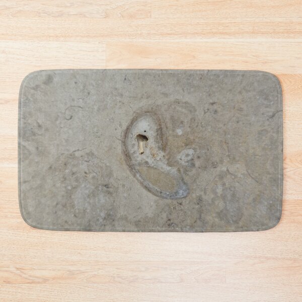 Item preview, Fossil in a Limestone Cover designed and sold by Gaboro.