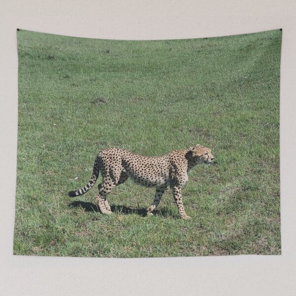 Item preview, Distinguished Cheetah designed and sold by annenambiro.