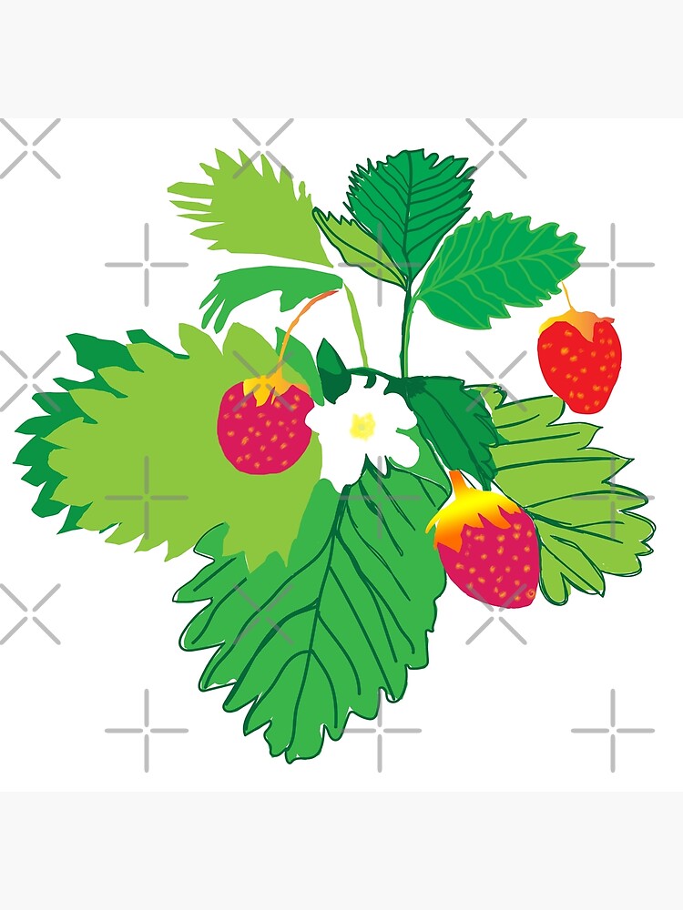 Discover Wild Strawberries Premium Matte Vertical Poster