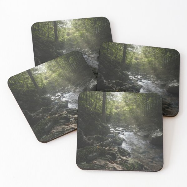 Item preview, Stream in Acquerino nature reserve forest. Tuscany region, Italy. designed and sold by Stefano Orazzini.