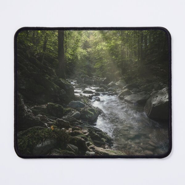 Item preview, Stream in Acquerino nature reserve forest. Tuscany region, Italy. designed and sold by Stefano Orazzini.