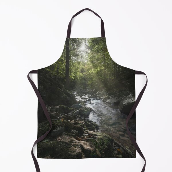Item preview, Stream in Acquerino nature reserve forest. Tuscany region, Italy. designed and sold by Stefano Orazzini.