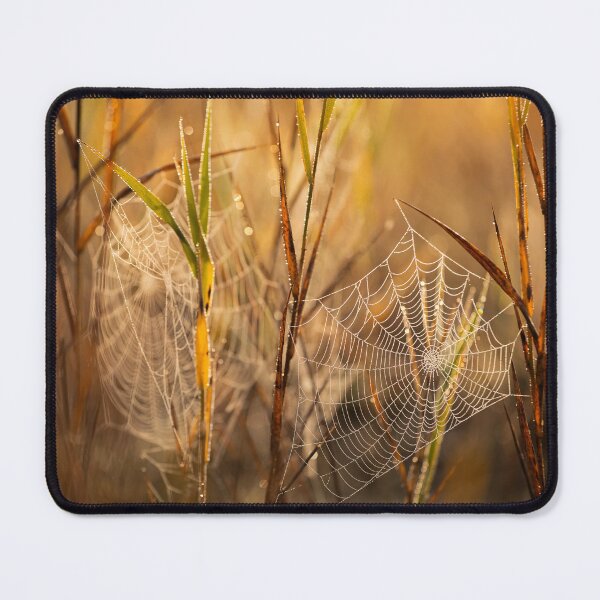 Item preview, Sunrise in the meadow. designed and sold by Catrinann.