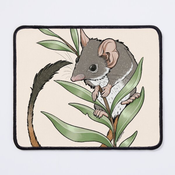 Item preview, Australia Phascogale and Eucalyptus Leaves  designed and sold by Mousewren.
