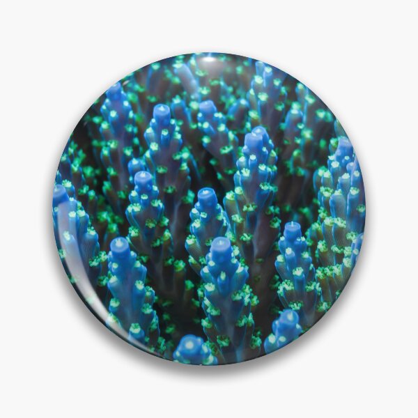 Item preview, Blue Acropora designed and sold by tank200bar.