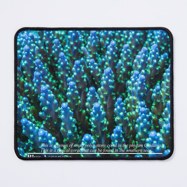 Item preview, Blue Acropora designed and sold by tank200bar.