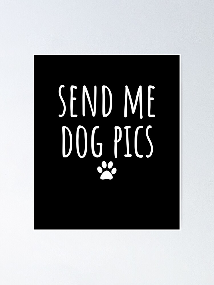 send a dog a gift