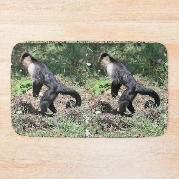 Item preview, vr 3576- 4/ finition 2023  singes : les Capucins à épaule blanches -  Okaio Créations Olavia-Olao designed and sold by o.okaïo.