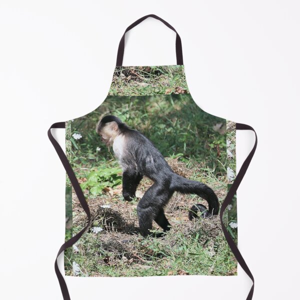Item preview, vr 3576- 4/ finition 2023 singes : les Capucins à épaule blanches - Okaio Créations Olavia-Olao designed and sold by o.okaïo.