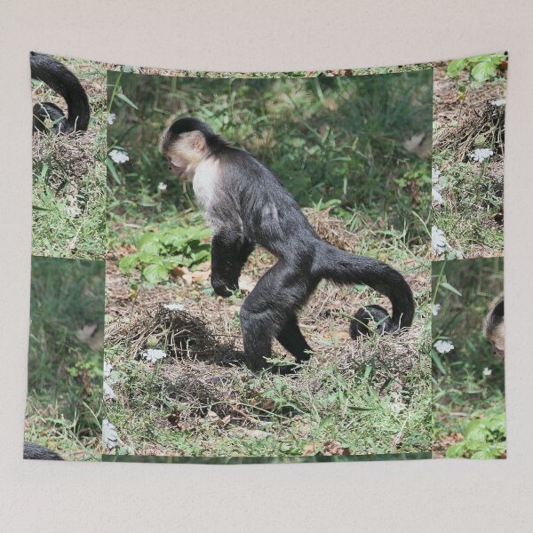 Item preview, vr 3576- 4/ finition 2023  singes : les Capucins à épaule blanches -  Okaio Créations Olavia-Olao designed and sold by o.okaïo.