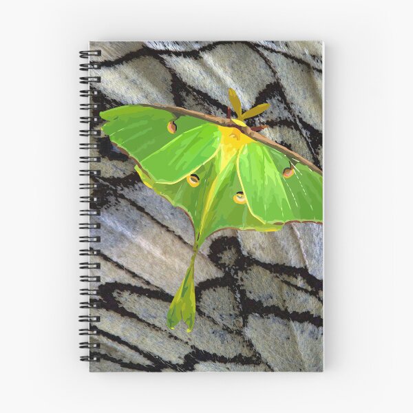 Artikelvorschau, Moon Moth entworfen und verkauft von RoguegraFX.
