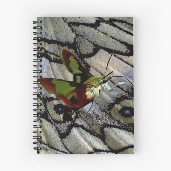Item preview, Hummingbird Moth designed and sold by RoguegraFX.