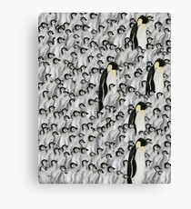 penguins penguins and penguins Canvas Print