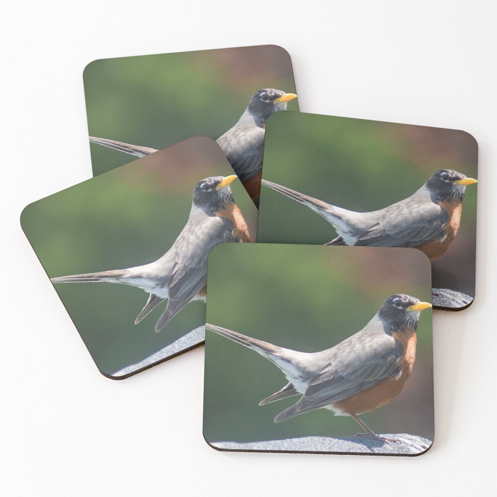 Item preview, Coasters (Set of 4) designed and sold by RPoli3.