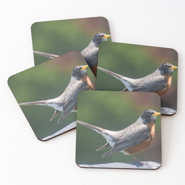 Item preview, American Robin Posing designed and sold by RPoli3.