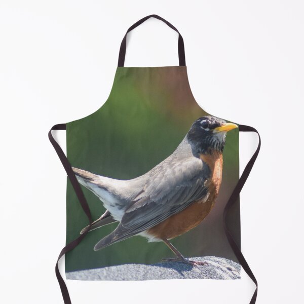 Item preview, American Robin Posing designed and sold by RPoli3.