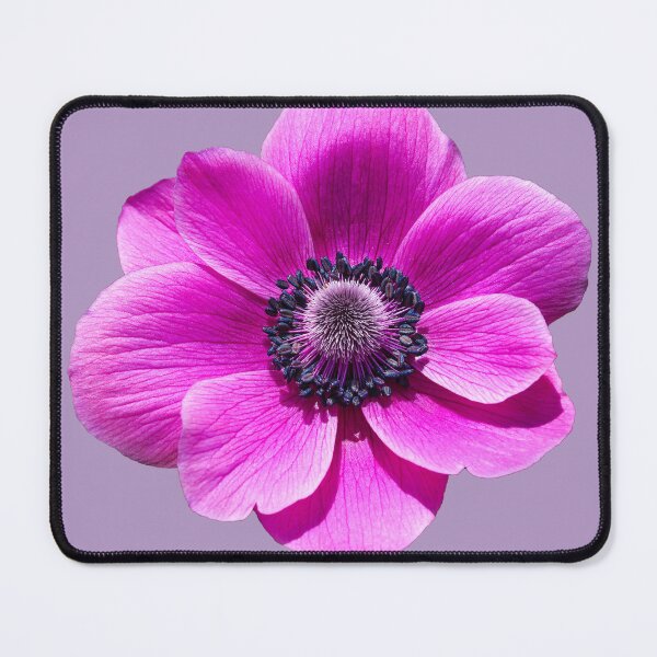 Item preview, Pink Anemone Flower designed and sold by ADCImages.