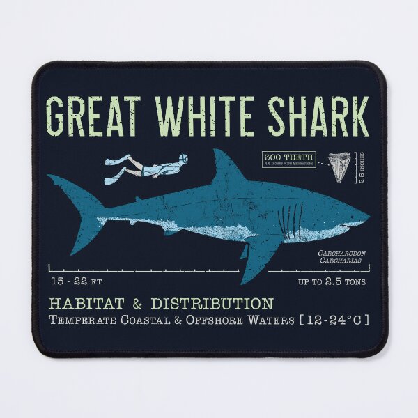 Great White Shark Tooth Poster for Sale by IncognitoMode