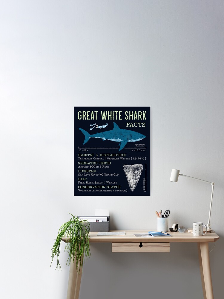 Great White Shark Tooth Poster for Sale by IncognitoMode
