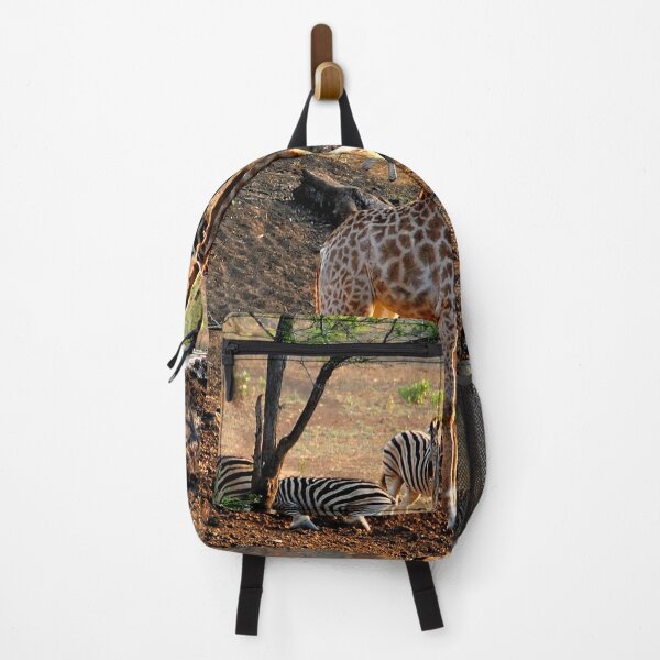 Item preview, Giraffe Zulu Nyala Game Reserve South Africa designed and sold by AndyEvansPhotos.