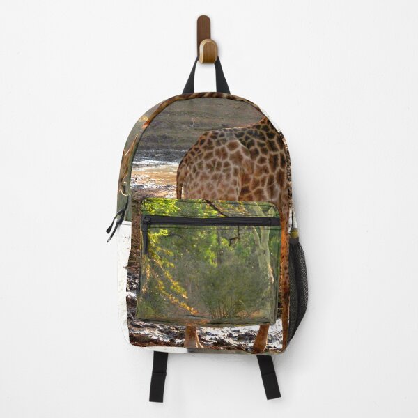 Item preview, Giraffe Zulu Nyala Game Reserve South Africa designed and sold by AndyEvansPhotos.