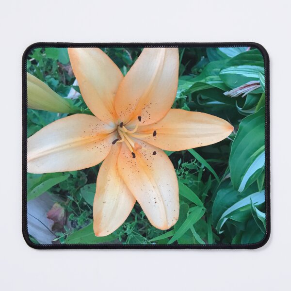 Item preview, Siberian lily designed and sold by Sarah Meytin.